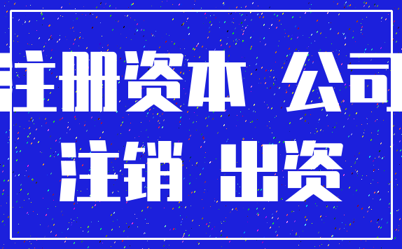 注册资本 公司_注销 出资