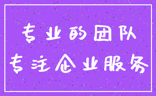 专业的团队_专注企业服务