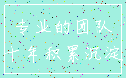专业的团队_十年积累沉淀