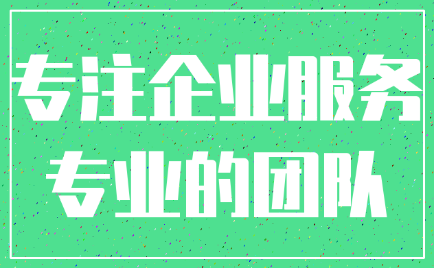 专注企业服务_专业的团队