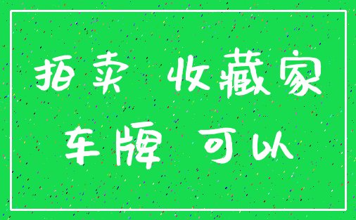 拍卖 收藏家_车牌 可以