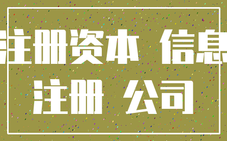 注册资本 信息_注册 公司