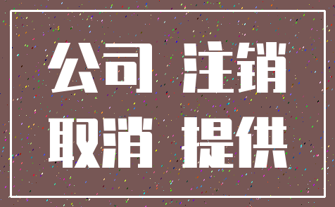 公司 注销_取消 提供