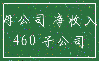 母公司 净收入_460 子公司