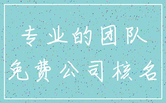 专业的团队_免费公司核名