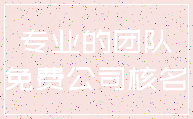 专业的团队_免费公司核名