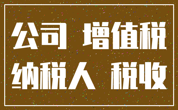 公司 增值税_纳税人 税收