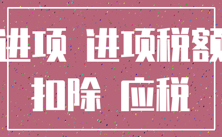 进项 进项税额_扣除 应税
