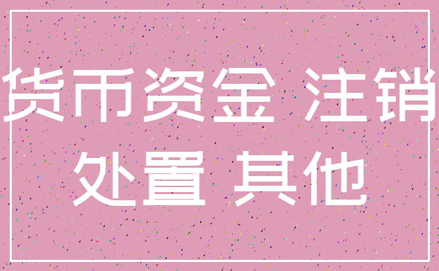 货币资金 注销_处置 其他
