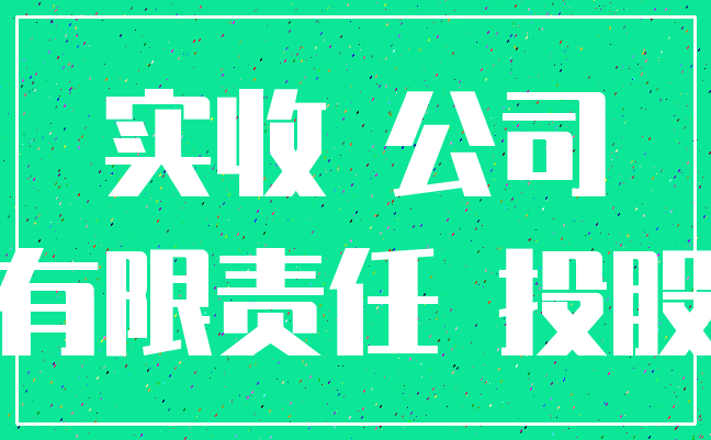 实收 公司_有限责任 投股