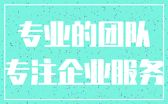 专业的团队_专注企业服务