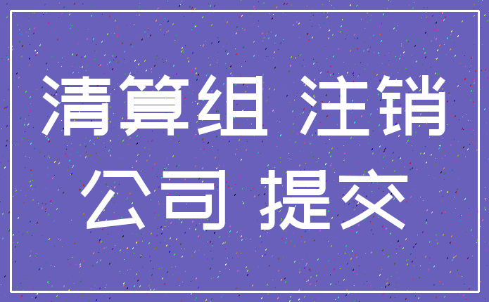 清算组 注销_公司 提交