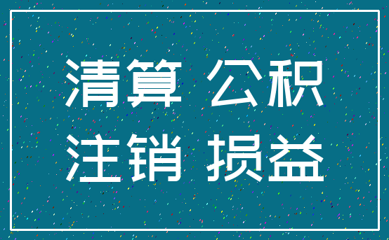 清算 公积_注销 损益