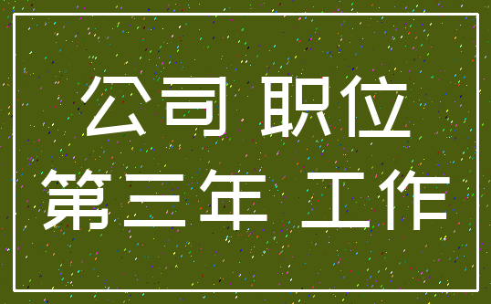 公司 职位_第三年 工作