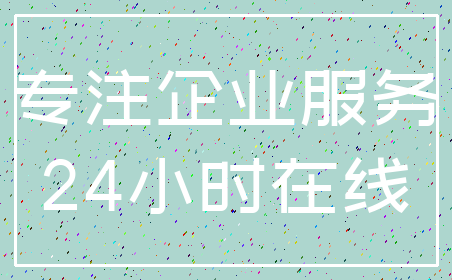 专注企业服务_24小时在线