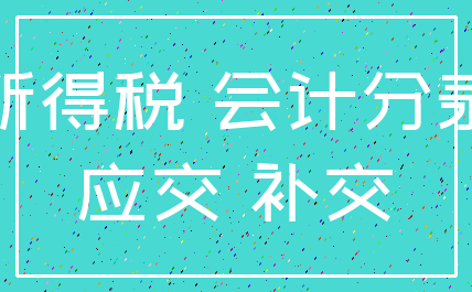 所得税 会计分录_应交 补交