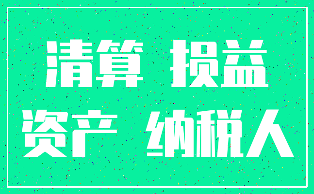 清算 损益_资产 纳税人