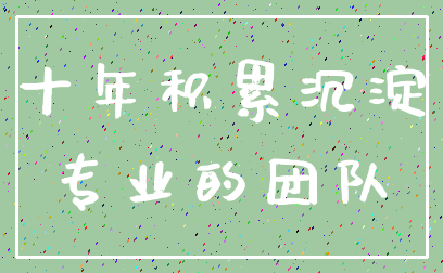 十年积累沉淀_专业的团队