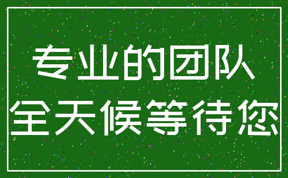 专业的团队_全天候等待您
