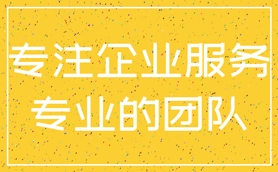 专注企业服务_专业的团队