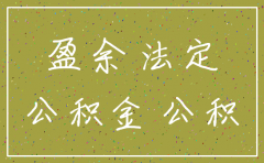 法定盈余公积 公司注销