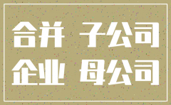 子公司注销返回的存款账务处理