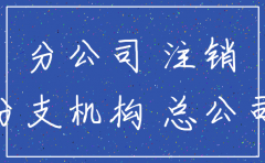 总公司注销分公司税务委托书