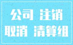公司注销走一般流程是什么流程