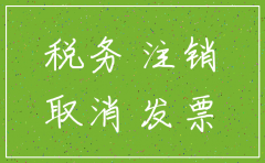 国税局公司注销表格