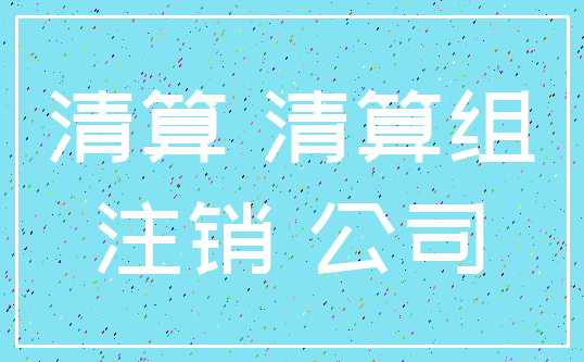 清算 清算组_注销 公司