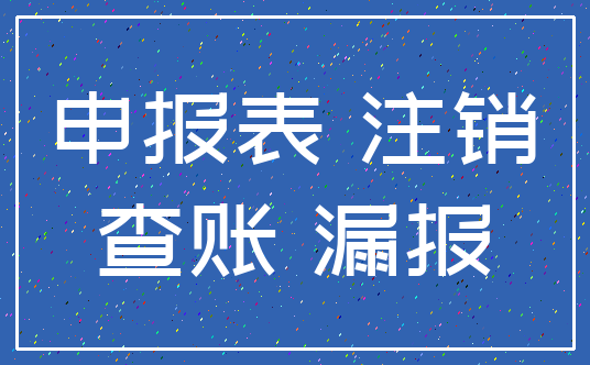 申报表 注销_查账 漏报