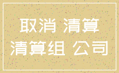 分公司注销方案怎么写