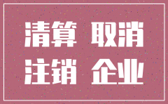 外资公司注销税务需要哪些材料