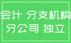 注销子公司的损失的会计核算