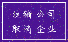 广州市简易注销公司流程