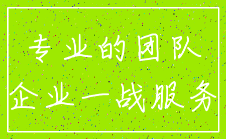 专业的团队_企业一战服务