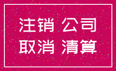 小规模公司注销怎么写