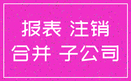 报表 注销_合并 子公司