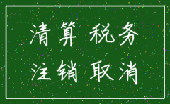 公司跨市变更税务注销清算报告