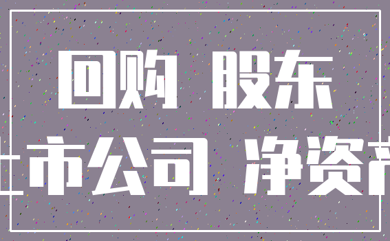 回购 股东_上市公司 净资产