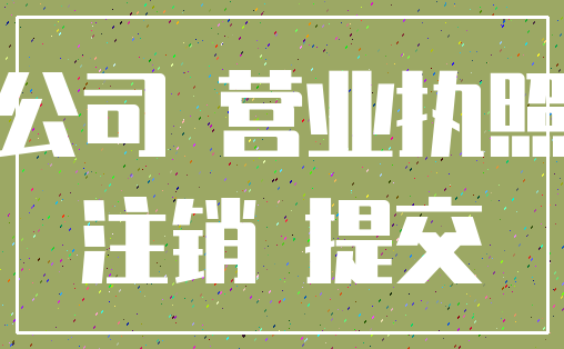 公司 营业执照_注销 提交