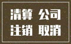 分公司注销如何写申请