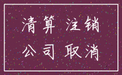 公司注销清算费用指的是哪些