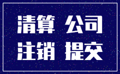 新疆分公司注销申请表