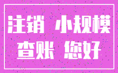 小公司注销查帐