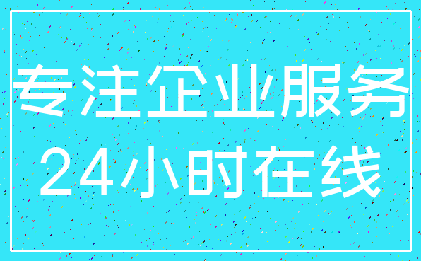专注企业服务_24小时在线
