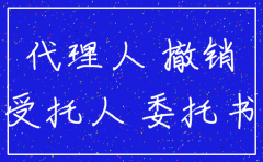 公司注销变更的委托函