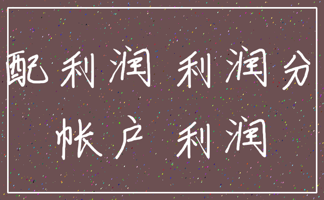 分配利润 利润分配_帐户 利润