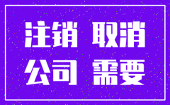 分公司多久自动注销