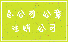 分公司税务注销总公司证明